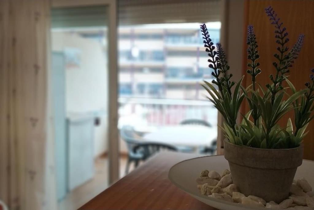 Acogedor Apartamento En La Playa De Canet Canet d’En Berenguer Kültér fotó